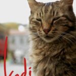 Город Кошек Постер Порно Фильм